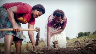 The seeds of change helping African farmers grow out of poverty | Andrew Youn