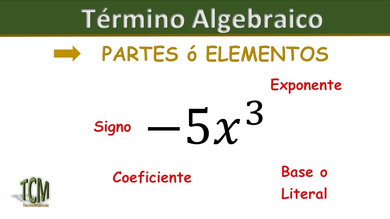 Elementos De Un Termino Algebraico
