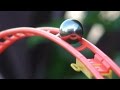 Marble Run in the Garden