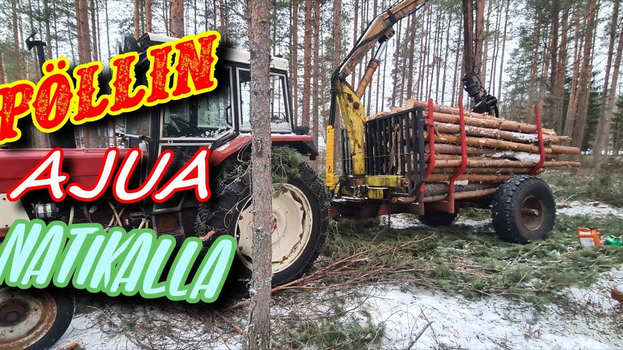 PÖLLIN AJOA NATIKALLA | LÖPÖ LOPPUU
