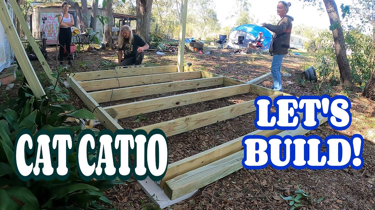 CAT CATIO BUILD EP1! DIY, HOW TO, COUPLE GOALS | - YouTube
