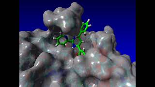 Molecular docking for SARS-CoV-2 PLPro (version 2), prepared using Pymol and Yasara software