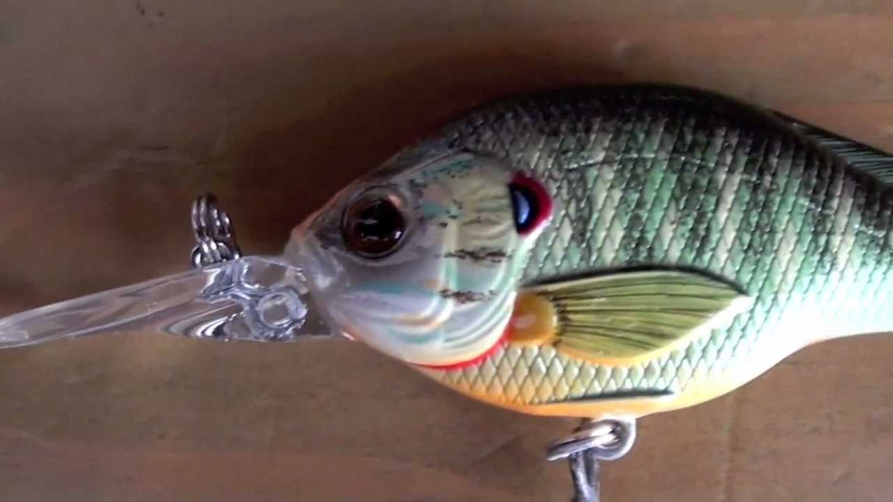 Koppers Live Target Pumpkin Seed