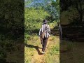 CAMINHO VELHO DOS ANTEPASSADOS #viralvideo #toada #sertão