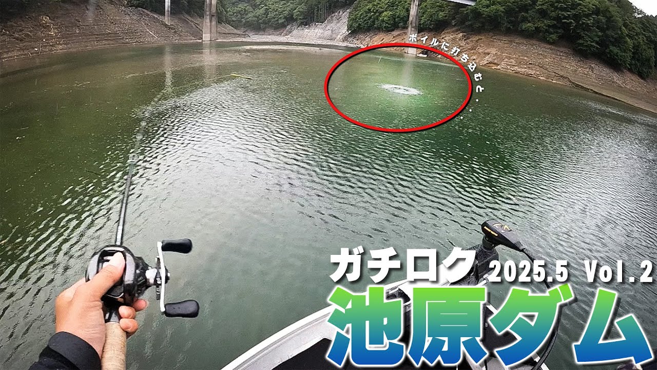 【池原ダム】ボイルに投げ込んでドンッ！【ガチロク】
