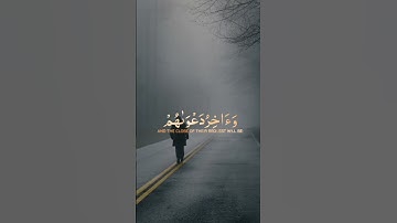 سورة يونس / القارئ عبدالرحمن مسعد #quran #islam #qurancover #قرآن #religion #shortvideo #explore