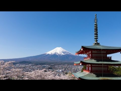 A ROAD TRIP TO TOKYO WITH AN AMAZING VIEW OF MT FUJI.