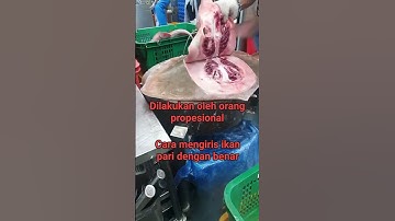 Thumbnail of cara bersihkan ikan pari