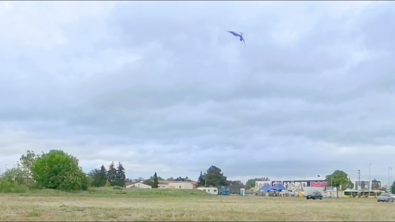 VF41 - Xander Alphakites X UL