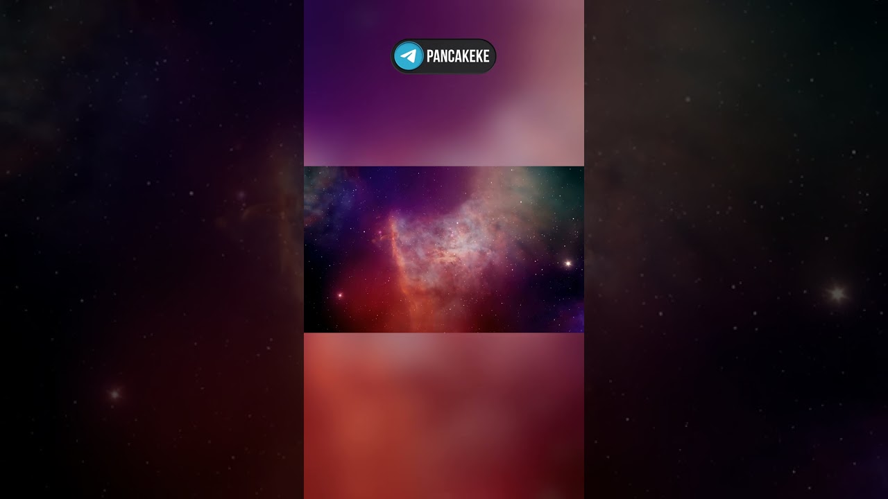 What Does the Message for Aliens Sent into Space Look Like!? 