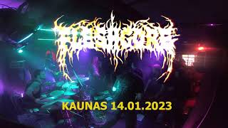 Fleshgore - Buried Truth