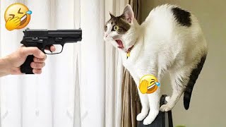 You Laugh You Lose 😍 Funniest Dogs and Cats 2024 😹🐶
