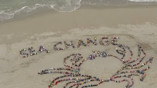 Art for a Sea Change