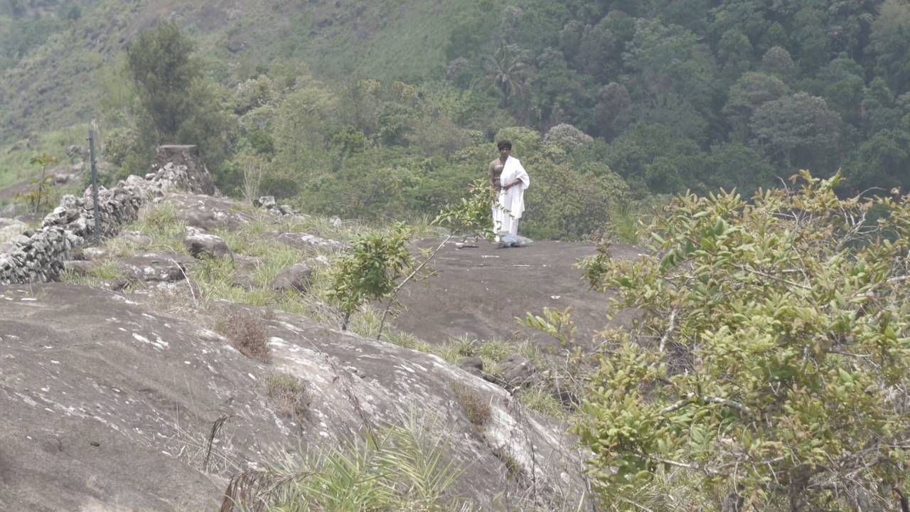 Asramam ayurveda training college prt. 3 // Колледж Аюрведы Ашрамам, часть 3