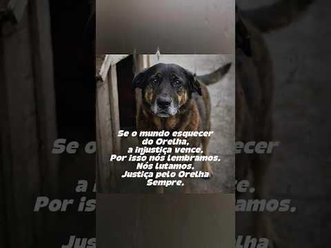 Justiça pelo orelha sempre!!!