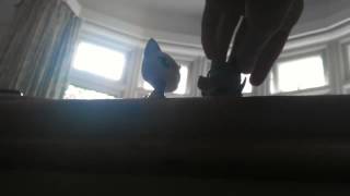 Lps Music Video Turn Around, Connor Maynard