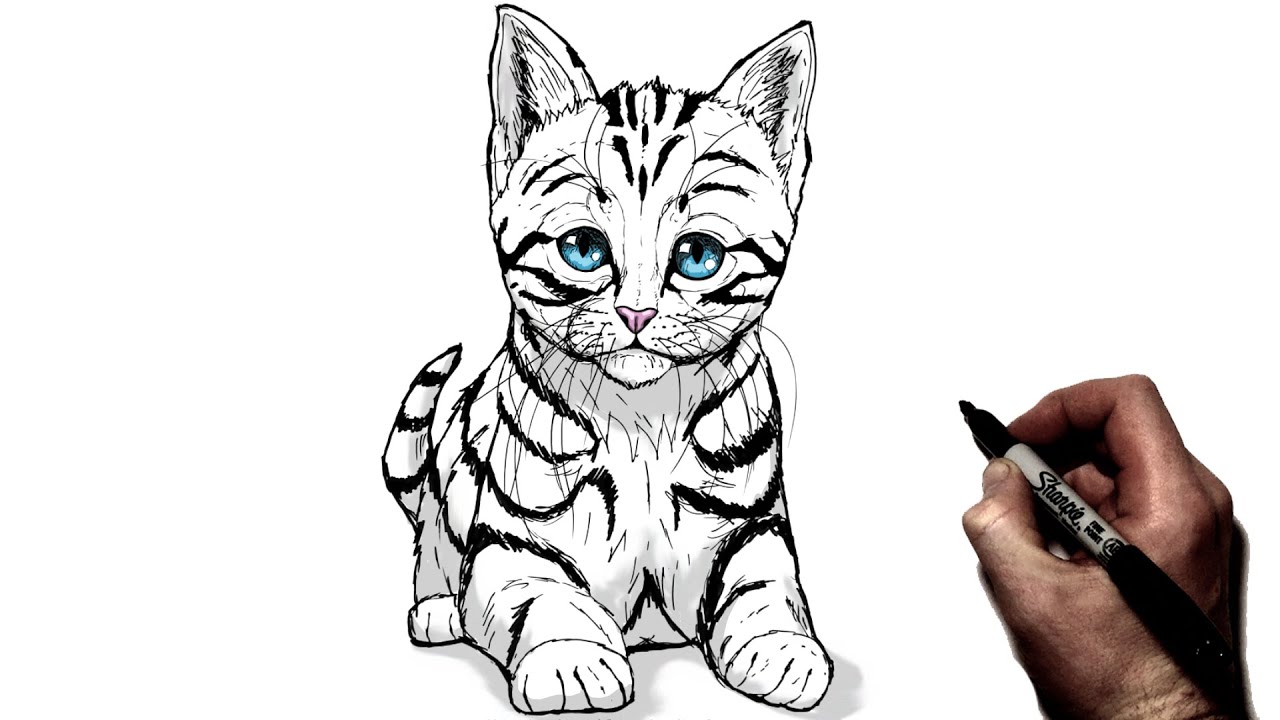 How To Draw A Kitten | Step By Step - YouTube