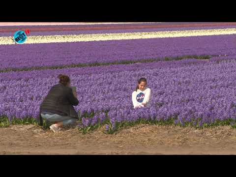 Rustig Paasweekend Heiloo en Alkmaar (13 april 2020)