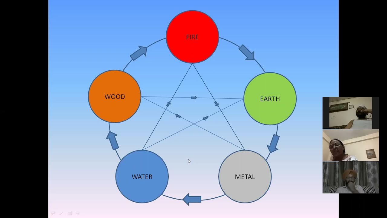 Maharashtra Acupuncture Council Syllabus Online Full Course YouTube