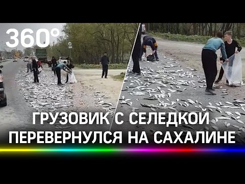 Грузовик с селедкой перевернулся на Сахалине   - видео