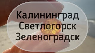 видео: Калининградская область за 7 дней на арендованном авто. Аренда авто. Обзор апартаментов. Калининград картинка: Калининградская область за 7 дней на арендованном авто. Аренда авто. Обзор апартаментов. Калининград