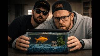 Restaurant Recs, Fish-Sitting & a Very Weird House Call | Episode 4