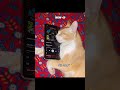 my meow.. 🐈#edit #jhope #bts #aesthetic #lovemusic #love #lovesongs 😊Bangladesh foryou video