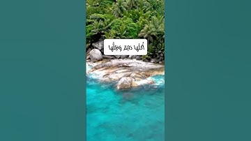 مَّثَلُ الْجَنَّةِ الَّتِي وُعِدَ الْمُتَّقُونَ - الآية ٣٥ من سورة الرعد #قرآن