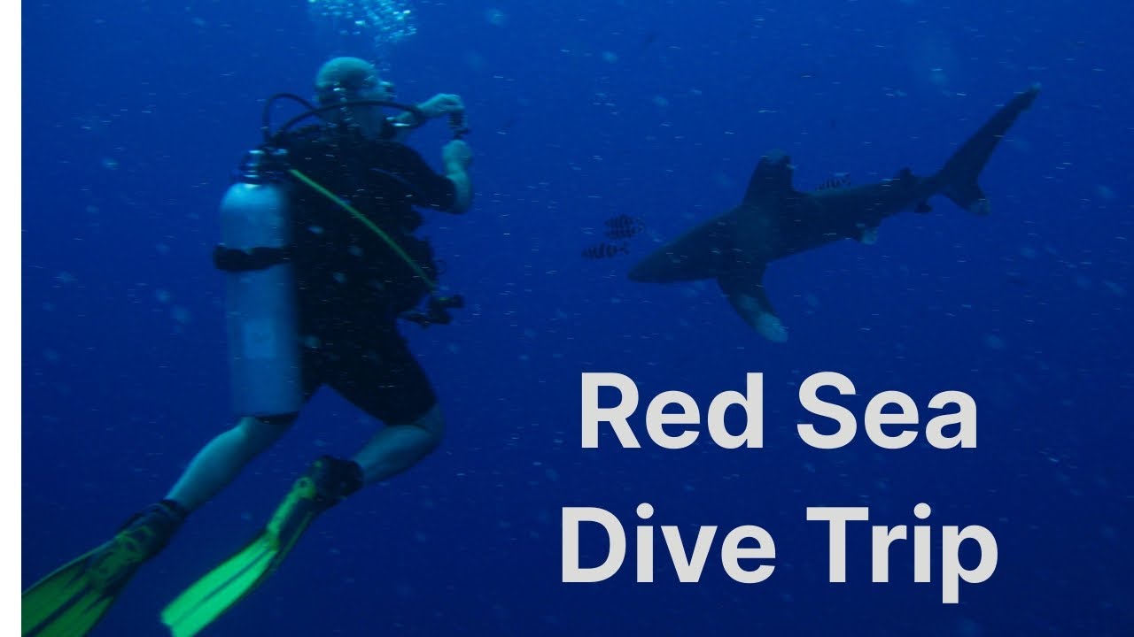 Red Sea Diving,  Hurricane Liveaboard