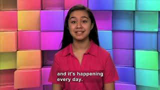 What Is Cyberbullying? (Accessible Preview)