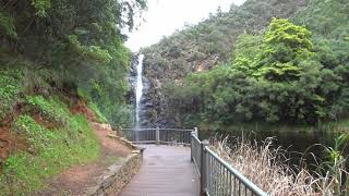 【4K UHD Spring Starts in AUSTRALIA】 Waterfall Gully, South Australia