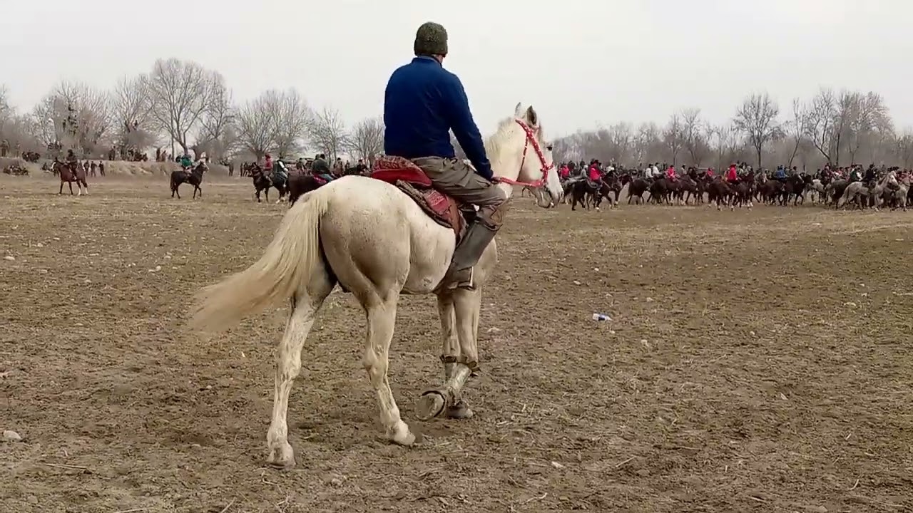 бузкаши фархор камуна