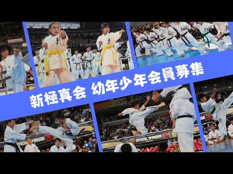 WKO SHINKYOKUSHINKAI - YouTube