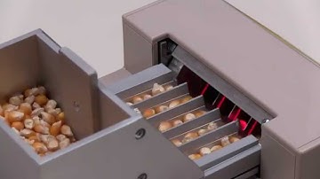 Seed Counter Contador2 is counting 500 seeds of corn