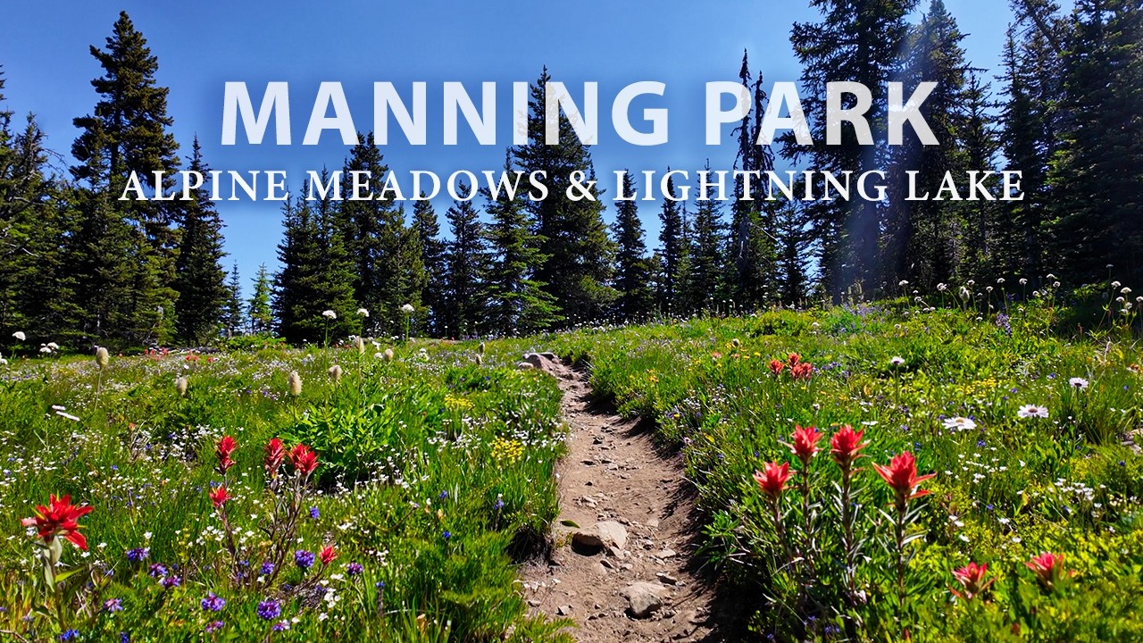 A Peaceful Hike in Manning Park BC: Alpine Wildflowers & Lightning Lake, All Natural Sights & Sounds