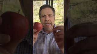 APTV 35: Go forth and multiply!