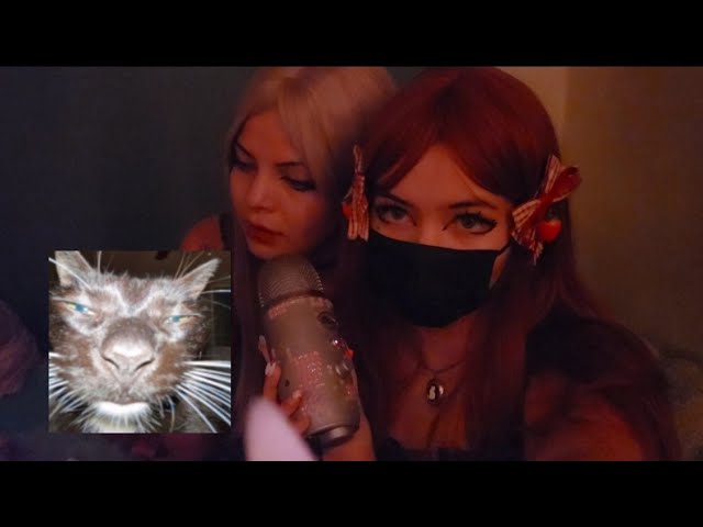 ₊˚ whispers, triggers & lots of mouth sounds :) ! asmr @JaneXasmr 𝜗ৎ