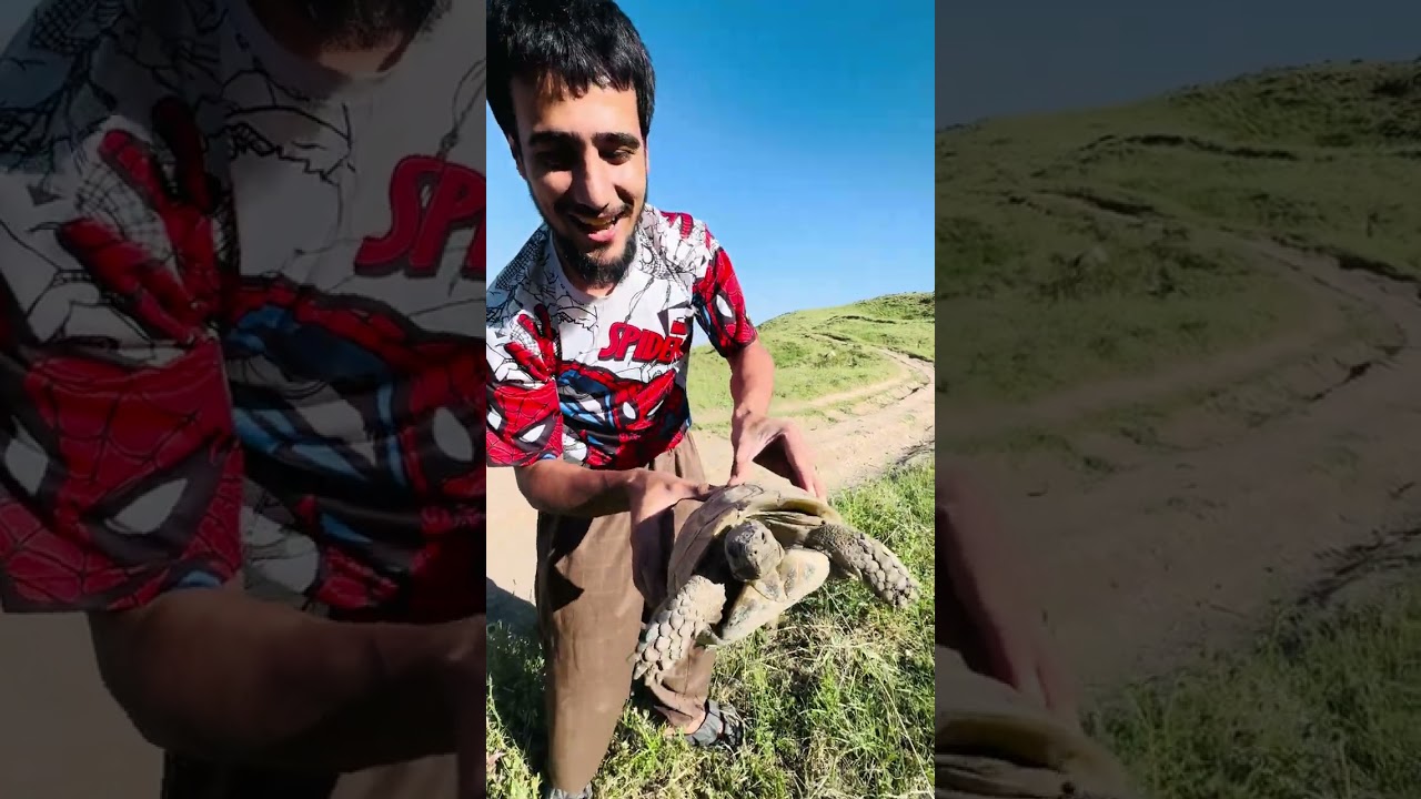 ڤڵۆگی هەزار کانیان بەزمی سیڤەر و جێب