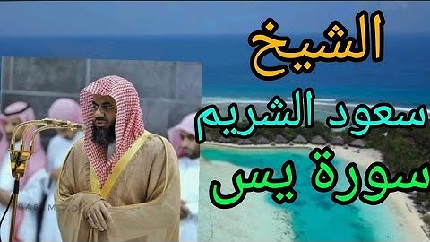 الشيخ سعود الشريم سورة يس  Sheikh Saud Al Shuraim SURAH YASSIN