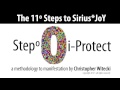 the 11º Steps to Sirius*joY: STEP ZERO • episode 2