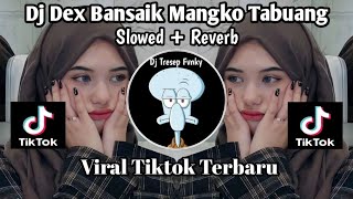 DJ DEX BANSAIK MANGKO TABUANG SLOWED REVERB BY RIZKI YETE VIRAL TIKTOK TERBARU 2023