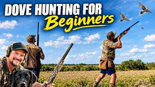 DOVE HUNTING for Beginners on a BUDGET! Ammunition, Gear Essentials, Shotgun, & Tips!