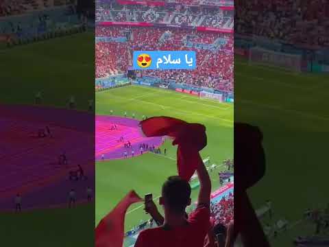 الجماهير المغربية يا سادة مغربية المغرب اليوم المغرب بلجيكا Shortvideo Youtubeshorts