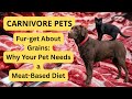 The Purr-fect Diet: How a Carnivore Diet Can Transform Your Pet's Health 