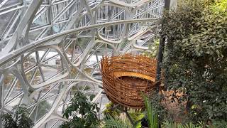 Amazon Spheres