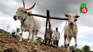 majya bhimachi punaee adarsh shinde bhim songs 0nPNLlyD970 360p