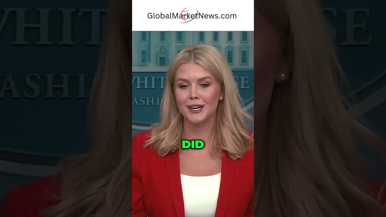 White House Press Sec: 'Trump's Plan Will Fix the Economy'