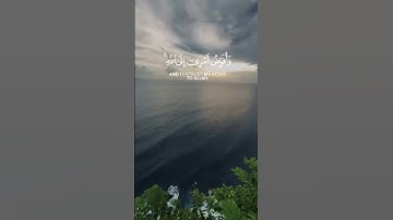 وأفوض أمري إلي الله | (سورة غافر - Surah Ghafir) | بصوت الشيخ مشاري راشد العفاسي #muslim #quran