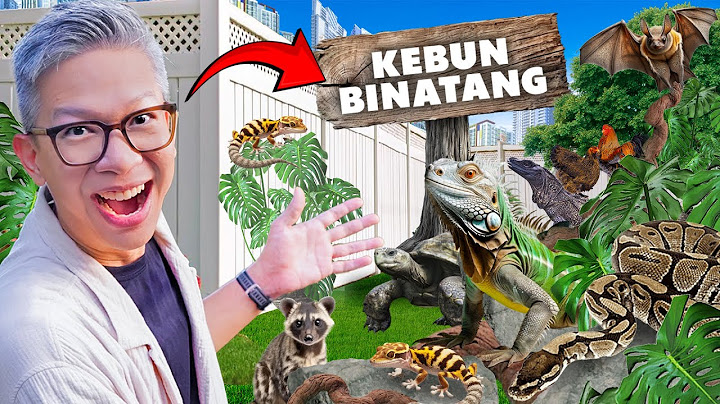 TURN YOUR BACKYARD INTO A ZOO!!
