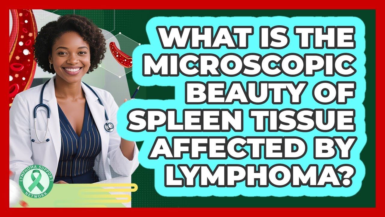 What Is The Microscopic Beauty Of Spleen Tissue Affected By Lymphoma? - Lymphoma Support Network